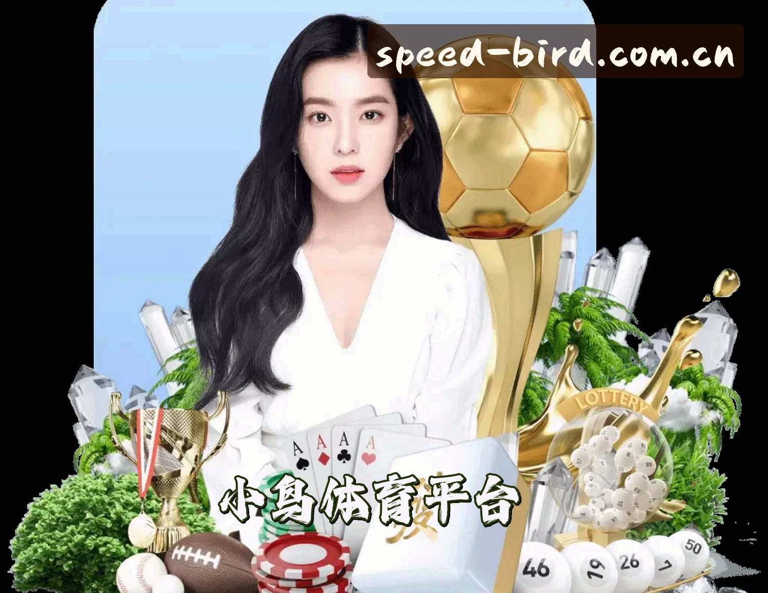 关于我们关于我们信息